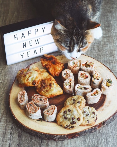 vibing-vegan:The spread at my New Years party last night was I made vegan cream cheese rolls & c