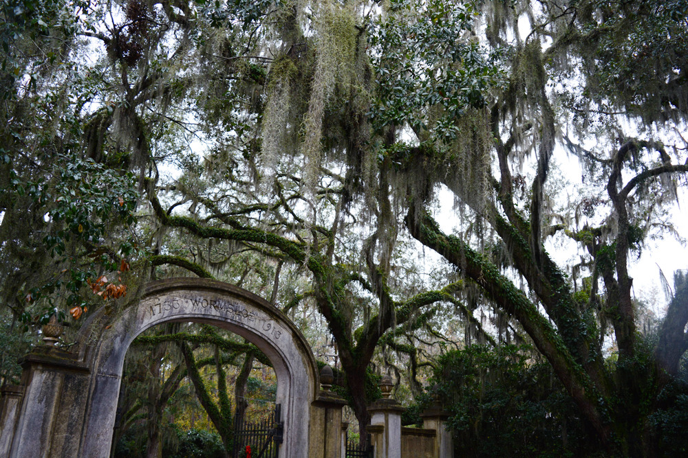 glorianas:  savannah, georgia, december 14th, 2016