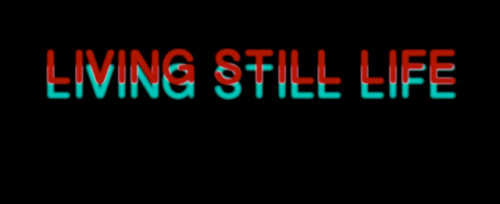 Loving Still Life (2012) - Red, white, blackBertrand Mandico / Pascale Granel