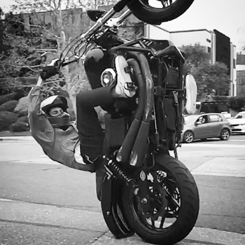 #vert #MotorCult #Wheelie #Harley #ScratchNDent @biltwell @hotdogkustoms www.motorcult.com (at Biltw