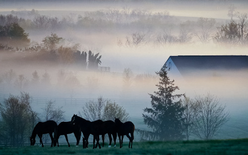 coiour-my-world:Lexington Bluegrass area, Danville, Kentucky by Gene Burch