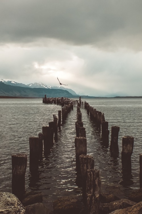 r2–d2:Chilean patagonia