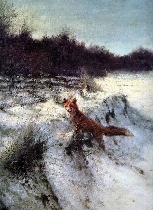 wanderingredleaves:Rien Poortvliet, Foxes in their habitat.