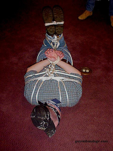 suited and bound