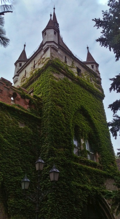 themagicforest:Vajdahunyad Castle, Budapest, Hungary