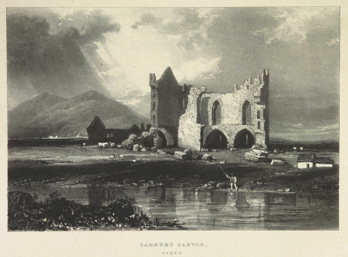 themarinevampireshop:Page 145 of ‘Picturesque views of the Antiquities of Ireland. Drawn on stone by