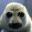 pwrskryaga