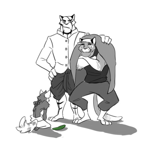 chirenblog:Don’t do this to your feline friends xD