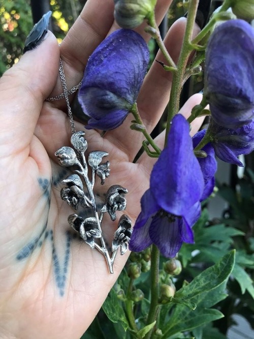 moonandserpent: Aconitum (Monkshood) pendant hand carved by Moon and Serpent, next to a real monksho