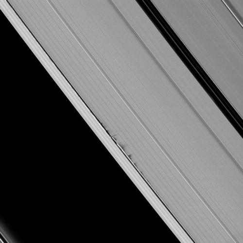 astronomyblog: Ripples in the rings of Saturn caused by the orbit of small moons (Pandora, Pan, Prom
