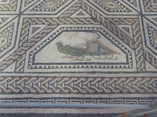 romegreeceart:Romano-Germanic Museum - Dionysus Mosaic (3)* c. 220 / 230 CECologne, November 2017