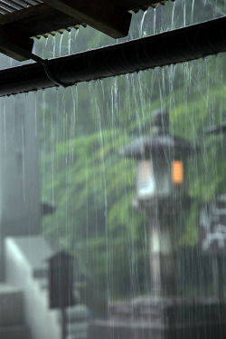 ileftmyheartintokyo:  Koyasan (高野山) in the rain by acase1968 on Flickr. 