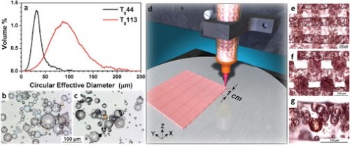 LLNL Researchers Use Direct Ink Writing to 3D Print Silicone Metamaterials with Shape Memory Behavior… http://ift.tt/2tYIpxe