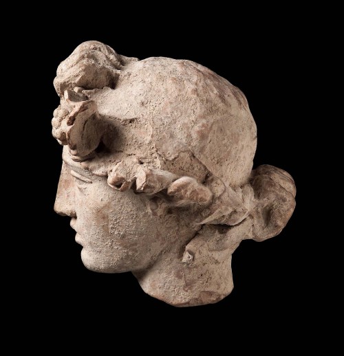 animus-inviolabilis:  Terracotta Head of Beardless Dionysos Figurine c. 323 - 31 B.C. “How could ecs