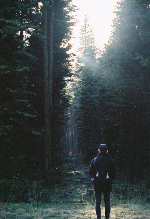 centzo:  Max. T  by Rory J Cole on Flickr. 