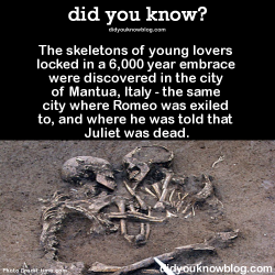 Did-You-Kno:  The Skeletons Of Young Lovers Locked In A 6,000 Year Embrace Were Discovered