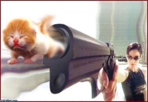 Dodge This
