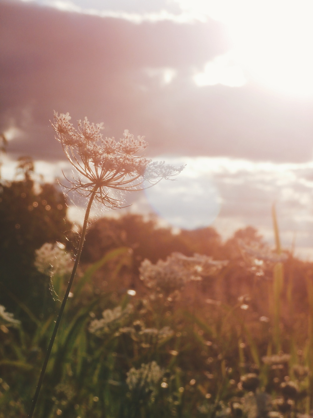 capturedbysam:  ► Sam Halladay 