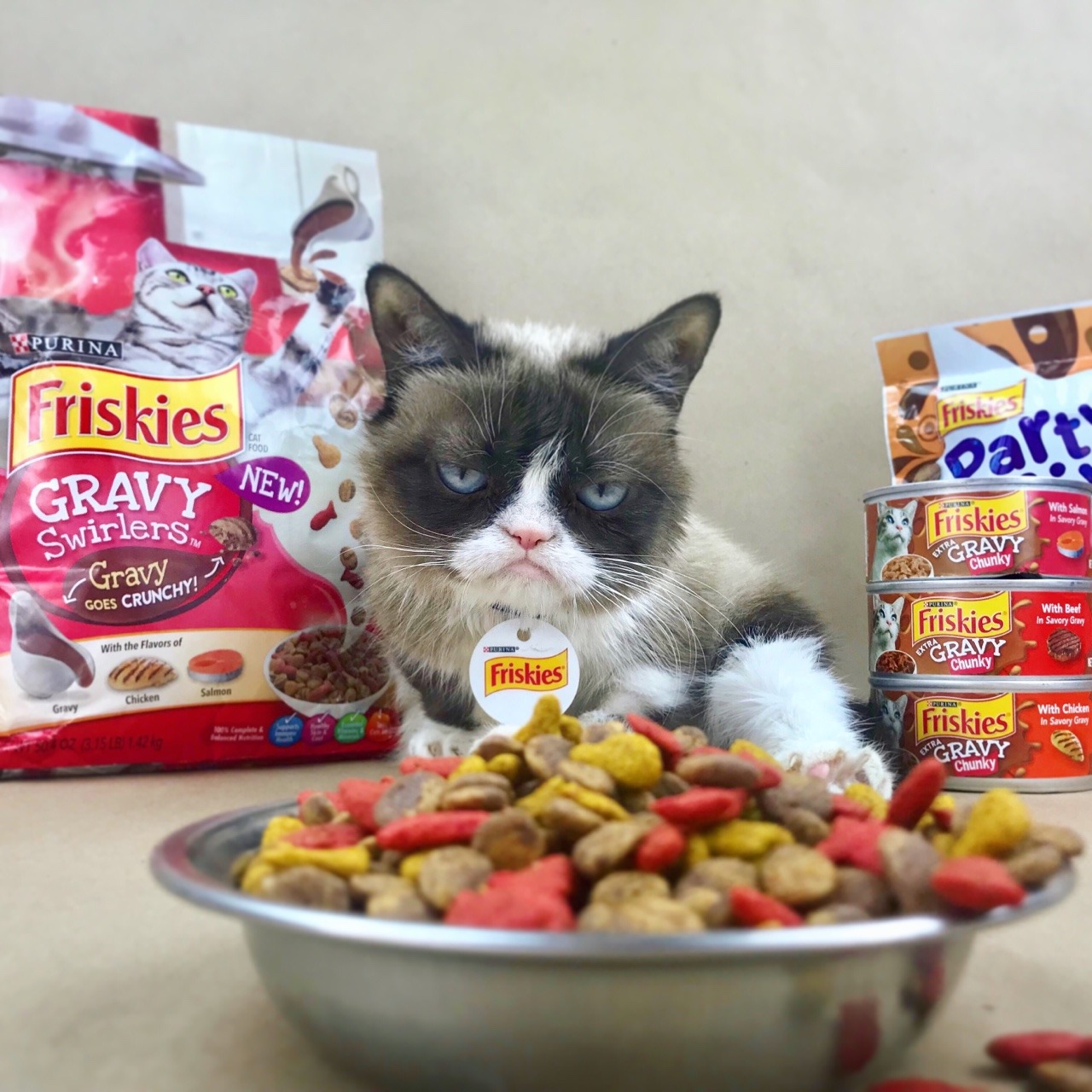 I am going to Friskies World, but NOT with you. If you want to experience it for yourself, visit https://www.Puri.na/Grumpy2...