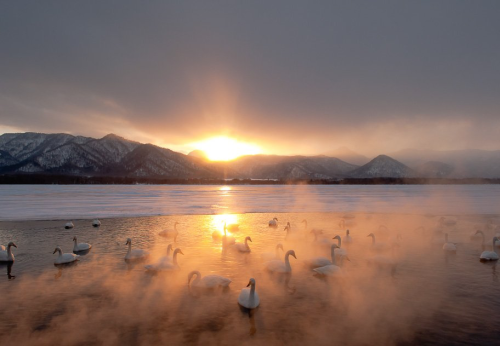 nubbsgalore:swan lake. photos (none of which are actually in russia) by (click pic) paul and paveena