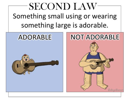 forlackofabettercomic:collegehumor:An acute guide to cutenessFinish reading The 6 Laws of Adorabilit