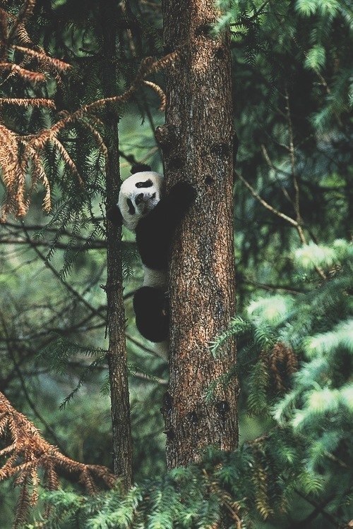 feellng:  vertical/personal/love♥