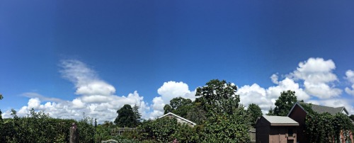 Just Enough Breeze And Shade To Enjoy Brunch Outside. Eggs, Potatoes, Tomatoes And Onions Courtesy Of