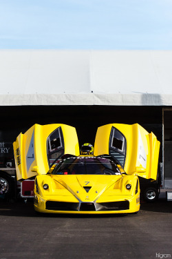 hilgramphoto:  FXX