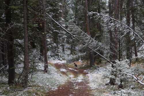 panamint: backcountry road