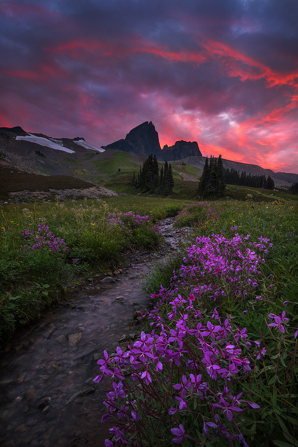 wrd500px:Sky Dance by Artur Stanisz