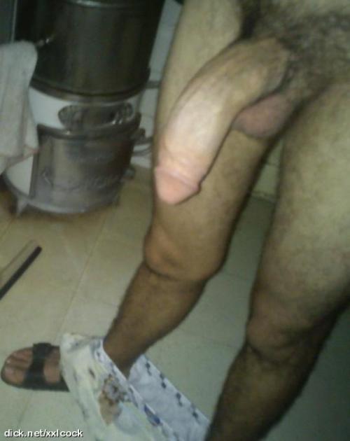 Syrian THICK Arab cock.