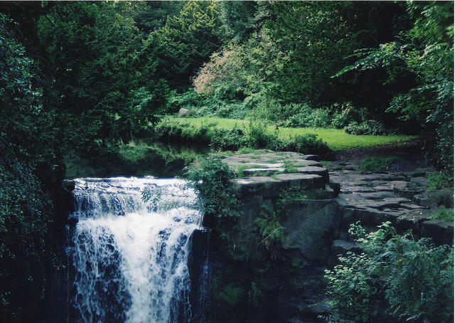 arquerio:  Jesmond Dene by MattyLawson on Flickr. 