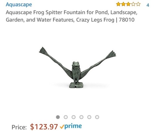 badamazonfinds:*uses this as a hood ornament on my car*