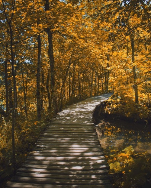 earthlygallery:  Plitvice Lakes by Andrea Caprini