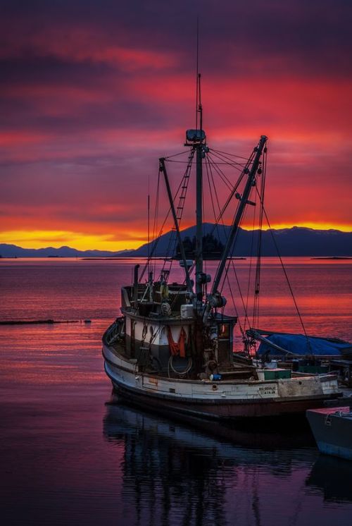 earthanthem:(via Pinterest • The world’s catalogue of ideas) Fishing Boat, Ketchikan, Alaska by Carl