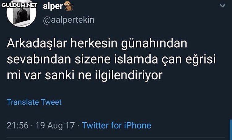 alper
@aalpertekin
Arkadaşl...