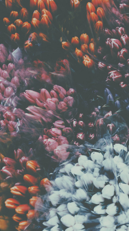 bestlockscreens:  Click here to find me on pinterest