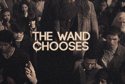 marcelsgerard-deactivated201405:  Harry Potter Meme→ (1/9) ThingsWANDS 