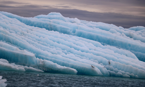 ps1:  Strolling through the icebergs.