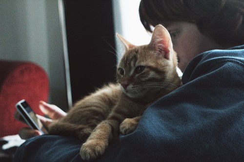Little chap