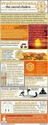 zengardenamaozn:  The different chakra and their meanings   