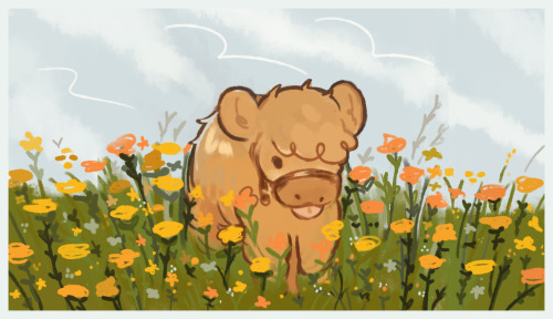 miyabau:cow in a meadow!