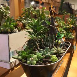 Cafe Day 静岡県沼津市のカフェ Cafe Day 静岡県沼津市のカフェ