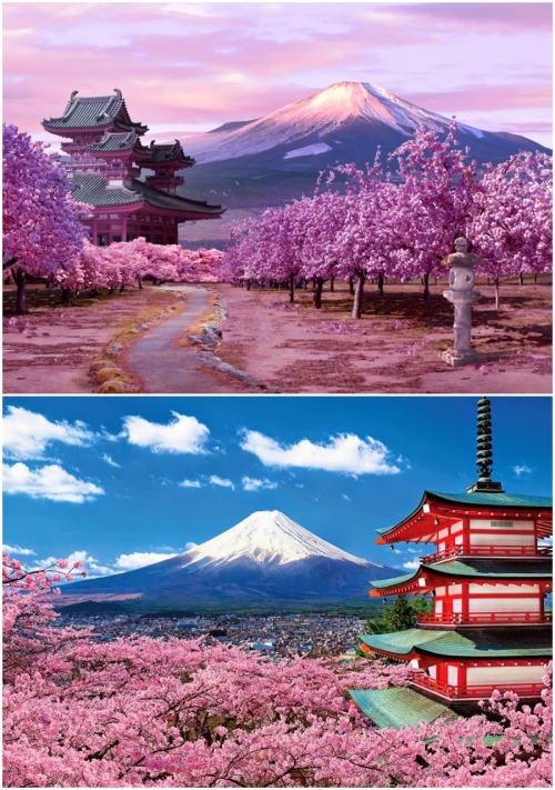 asianfavorit: Japan