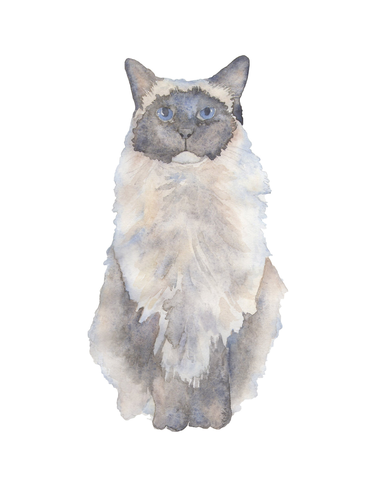 kboyington424:  Cats by Kate Boyington.   Get your pet portrait today at: www.etsy.com/shop/KateBoyingtonArt