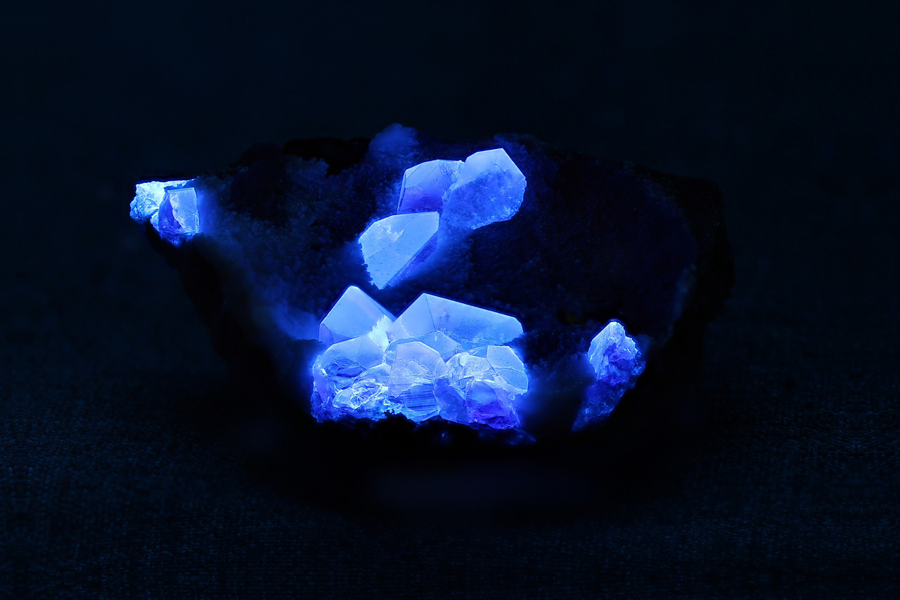 arockmaniac:  Gemmy benitoite crystals with a tiny crystal of neptunite on a matrix