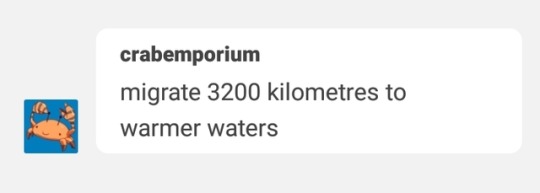 crab-justice:  kindcaringsonofabitch:  crab-justice: crab-justice:   oddfriendlycrab:   crab-justice:   crab-justice:   crab-justice:   crab-justice:  Sea cold how do I warm up  Okay   Okay   I found this hole already dug, is this okay?   If you can’t