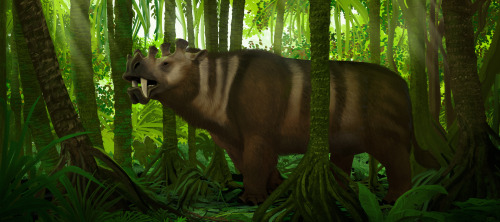 A lone male uintatherium calls for a mate in a lush North American rainforest.