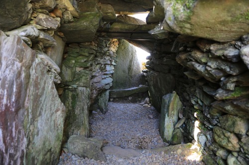 Nether Largie South Cairn and Interior, Kilmartin Glen, Argyll, 3.6.16. An exposed interior of the c