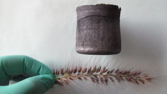 did-you-kno:  sixpenceee:  Chinese scientists have created the world’s lightest material.  Graphene aerogel that is seven times lighter than air. It is so light that one cubic inch can be balanced on a blade of grass, the stamen of a flower, or the